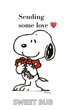 snoopy is holding a bouquet of flowers with the words sending some love sweet bub below him