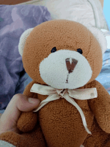 a person is holding a brown teddy bear with a bow around its neck