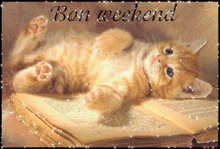 a cat is laying on top of a book with the words bon weekend written above it