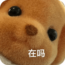 a close up of a teddy bear 's face with chinese writing on it