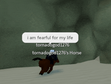 a person riding a horse in a video game that says " i am fearful for my life tornadogod1276 's horse "