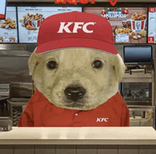 a dog wearing a red kfc hat and uniform