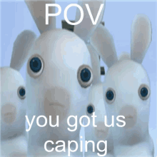 a group of stuffed rabbits with blue eyes and the words pov you got us caping on the bottom