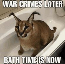 a cat is sitting in a bathtub with a caption that says war crimes later bath time is now