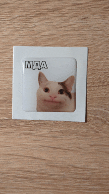 a picture of a cat with a caption that says mda