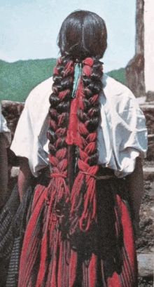 a woman wearing a white shirt and a red dress has a braided ponytail