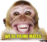 a monkey with its mouth open and the words we 're prime mates