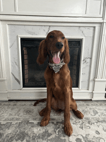 a dog sitting in front of a fireplace with his tongue out