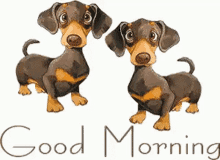 two dachshunds standing next to each other with the words good morning written below them