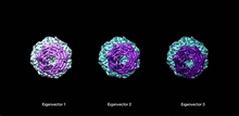 a computer generated image of three different types of cells .