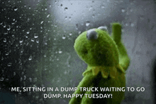 kermit the frog is sitting in the rain waiting to go dump