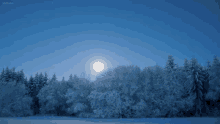 the full moon shines brightly over a snowy forest