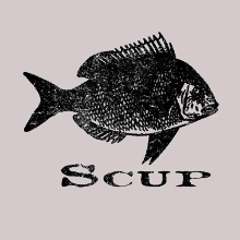 a black and white drawing of a fish with the words scup below it