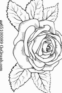 a black and white drawing of a rose with leaves on it .