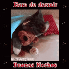 a cat is holding a teddy bear and the words hora de dormir buenas noches are above it