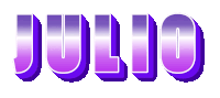 the name julio is written in purple letters on a white background