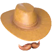 a cowboy hat with a fake mustache on it