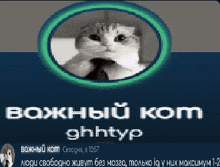 a black and white image of a cat with the words " ghhtyp " written below it