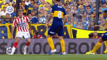 a group of soccer players are playing a game of soccer on a field in front of a crowd .