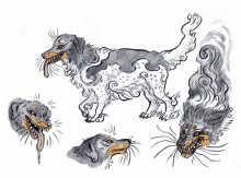 a drawing of a dog with many different faces