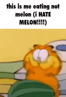 garfield is sitting on a bed with a stack of books and says this is me eating not melon ( i hate melon )