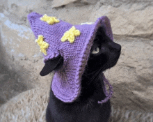 a black cat wearing a purple witch hat with yellow stars on it