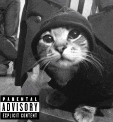 a black and white photo of a cat with a parental advisory explicit content