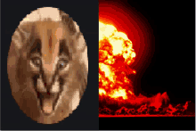 a picture of a lion next to a picture of a bomb explosion