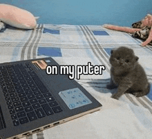 a kitten sitting next to a laptop computer on a bed .