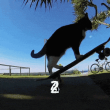 a cat is riding a skateboard with the letter z below