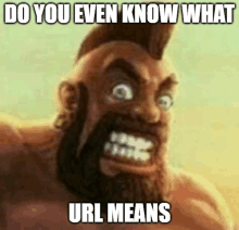 a man with a beard and mohawk says do you even know what url means ..