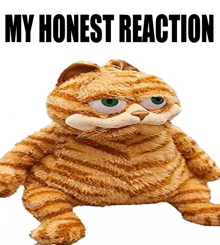 a stuffed cat with the words " my honest reaction " written below it