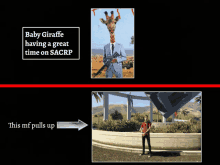 a picture of a man with a giraffe 's head and the words " baby giraffe having a great time on sacrp "