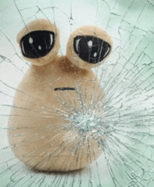 a stuffed animal with big eyes is behind a broken glass window .