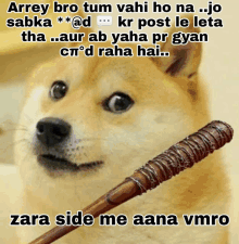 a picture of a dog holding a bat with the caption " arrey bro tum wahi ho na "