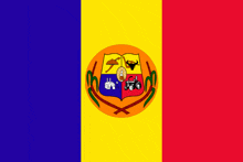 a yellow red and blue flag with a shield on it