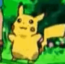 a cartoon pikachu is standing in the grass with a person in the background .