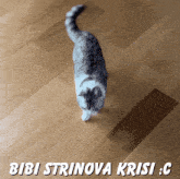 a cat walking on a wooden floor with the words bibi strinova krisi written below it