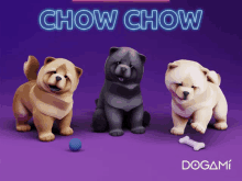 three chow chow dogs on a purple background