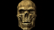 a gold skull with a black background is shown with its mouth open