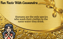 a gold background with the words fun facts with cassandra written on it