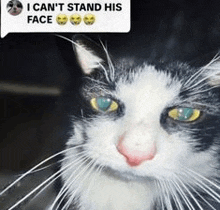 a black and white cat with a speech bubble saying i can 't stand his face