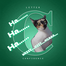 a cat is sitting in front of a green letter c