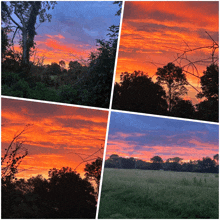 a collage of four pictures of a sunset over a field