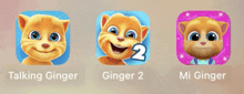 talking ginger ginger 2 and mi ginger icons on a screen