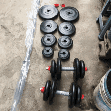 a bunch of dumbbells are lined up on a cement floor