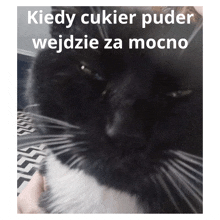 a black and white cat with the caption kiedy cukier puder wejdzie za mocno