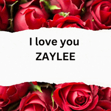 a sign that says i love you zaylee in front of a bunch of red roses