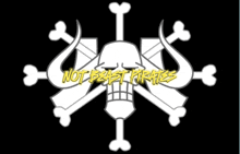 a skull and crossbones with the words " not beast pirates " in yellow letters