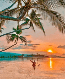 a man is paddling a kayak in the ocean at sunset .